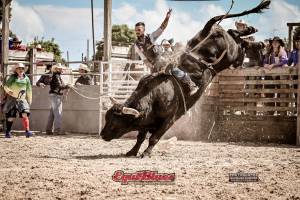 Guillaume SAMAMA - SAMAMA