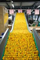 Julien SESIA - Julien-Sésia-Photographie©